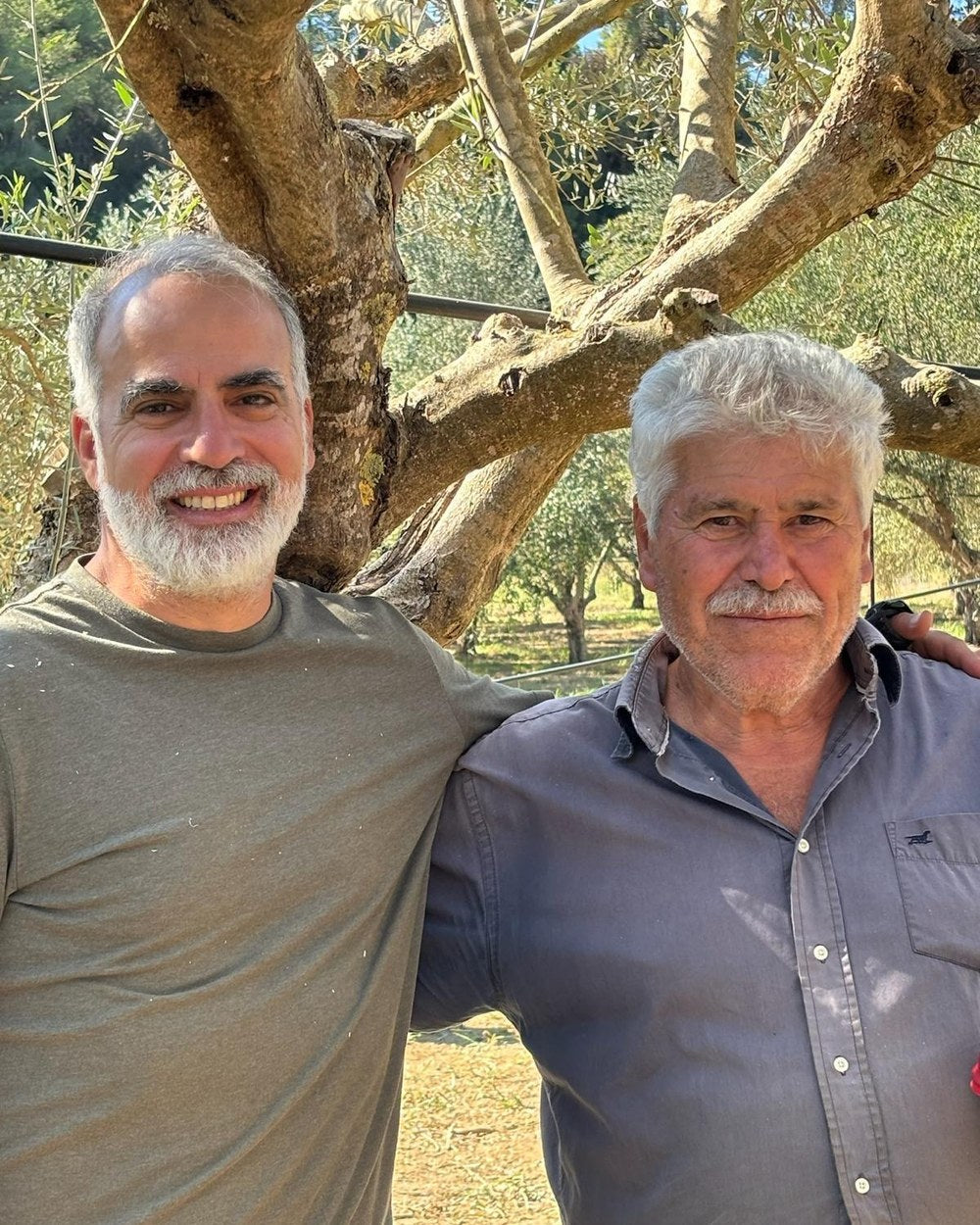 Stylianos Antalis et son oncle Fotis, dans les oliveraies