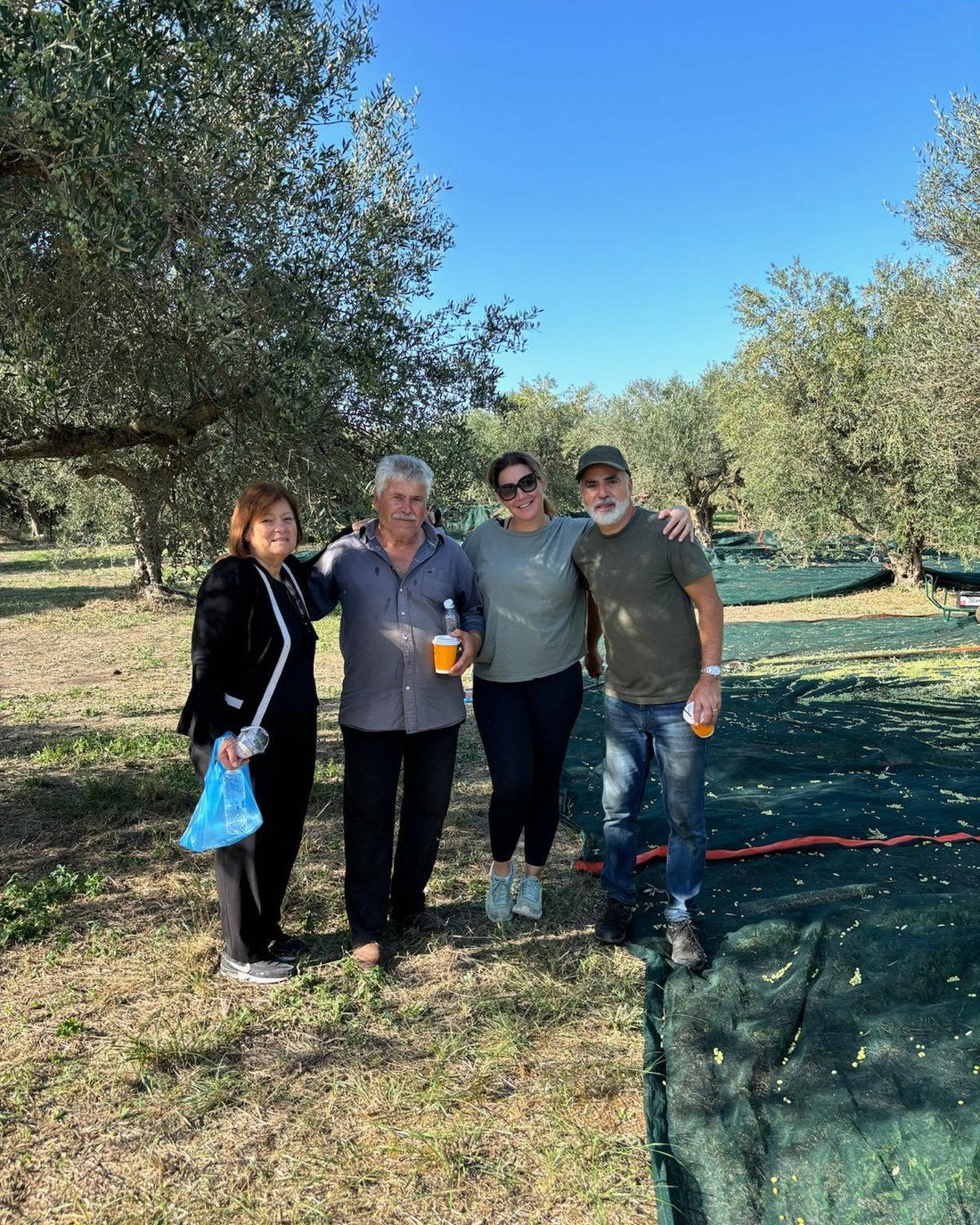 Konstantina, Fotis, Sophie et Stylianos Antalis, à la récolte