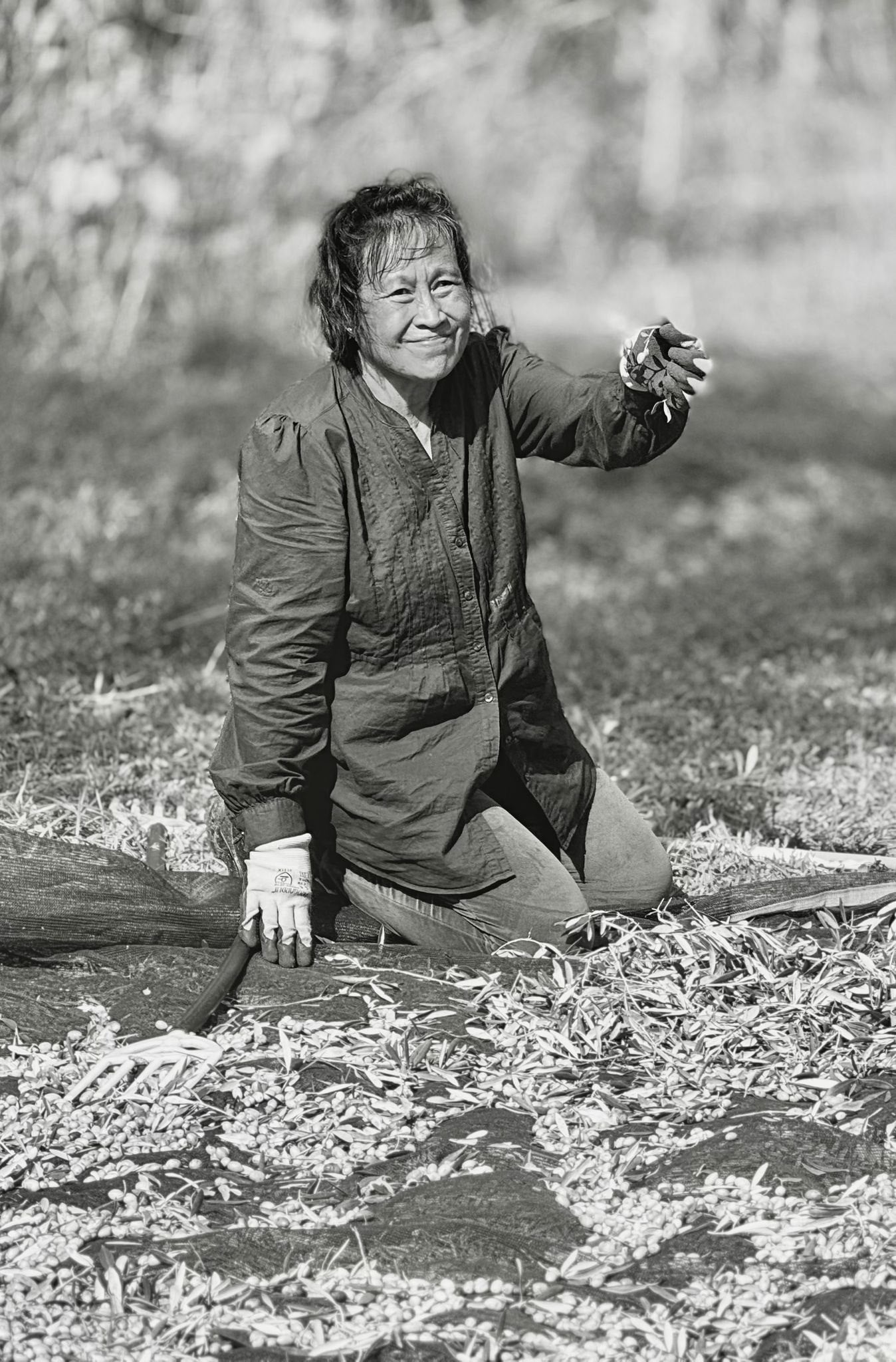 Lorna, à la récolte des olives — Domaine Oïkos Antalis